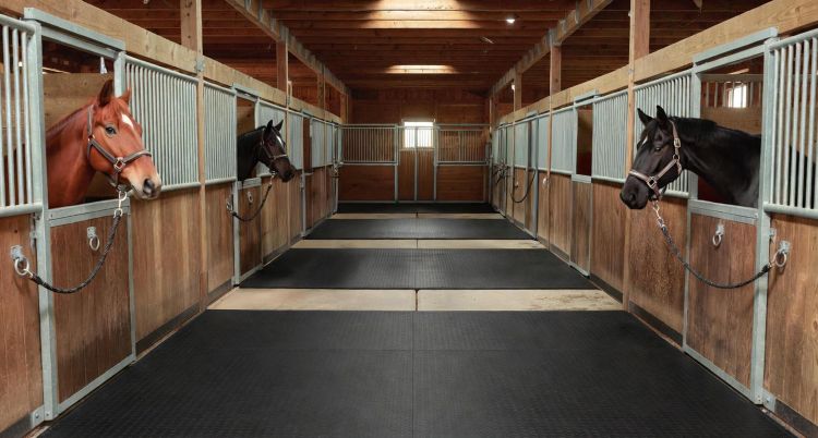 Horse standing in an equine stall with durable rubber stall mats providing traction, comfort, and floor protection in a barn.